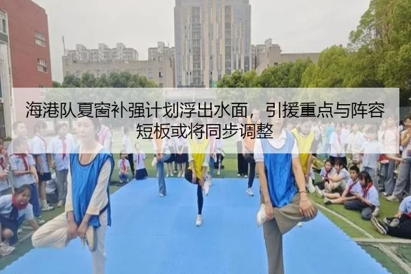 海港队夏窗补强计划浮出水面，引援重点与阵容短板或将同步调整（QQ）